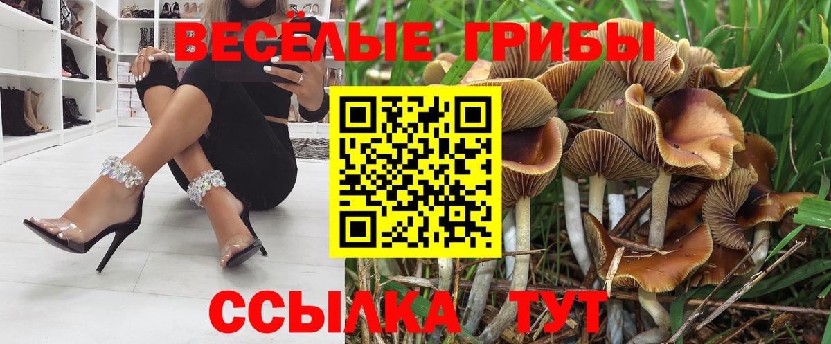 Псилоцибиновые грибы прущие грибы  Вход с VPN  Топки 